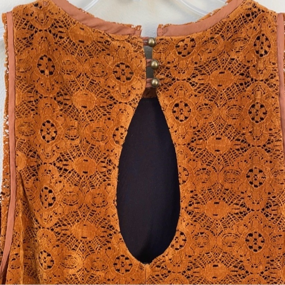 Anthropologie Maeve Amis Lace Velvet Mini Dress Size 10 - Picture 5 of 8